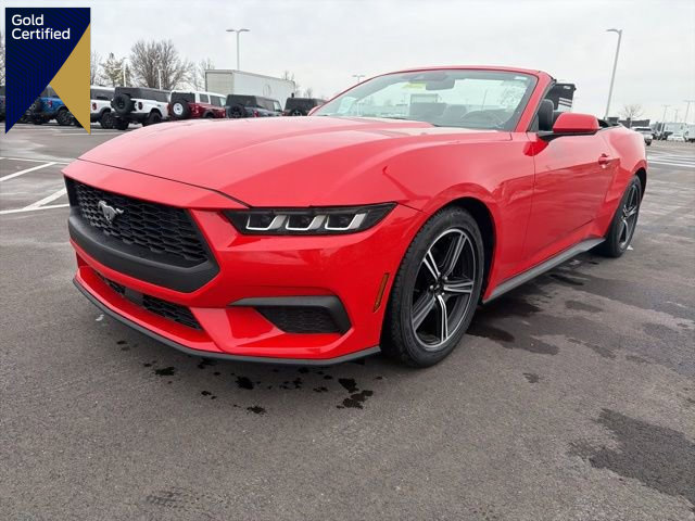 Certified 2024 Ford Mustang Premium image 1