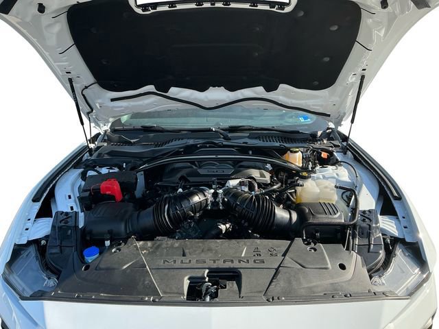 Certified 2025 Ford Mustang GT Premium RWD image 20