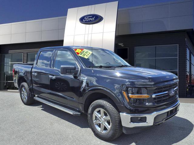 Certified 2025 Ford F150 XLT w/ Equipment Group 301A Standard