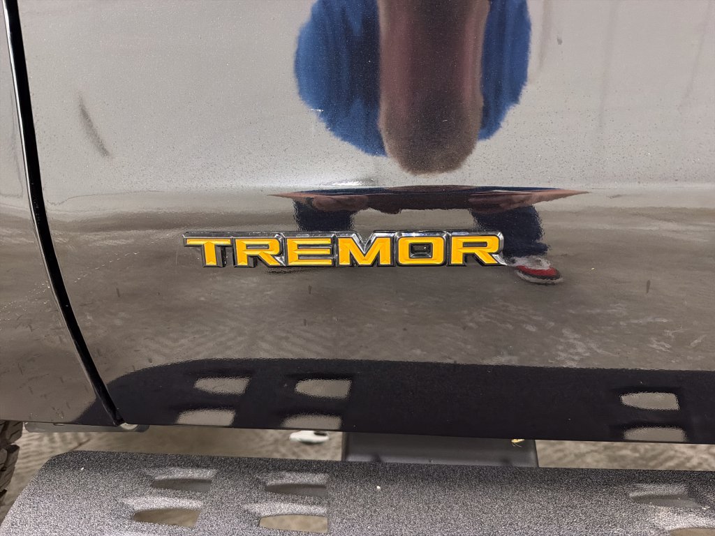 Certified 2025 Ford Expedition Tremor AWD/4WD image 21