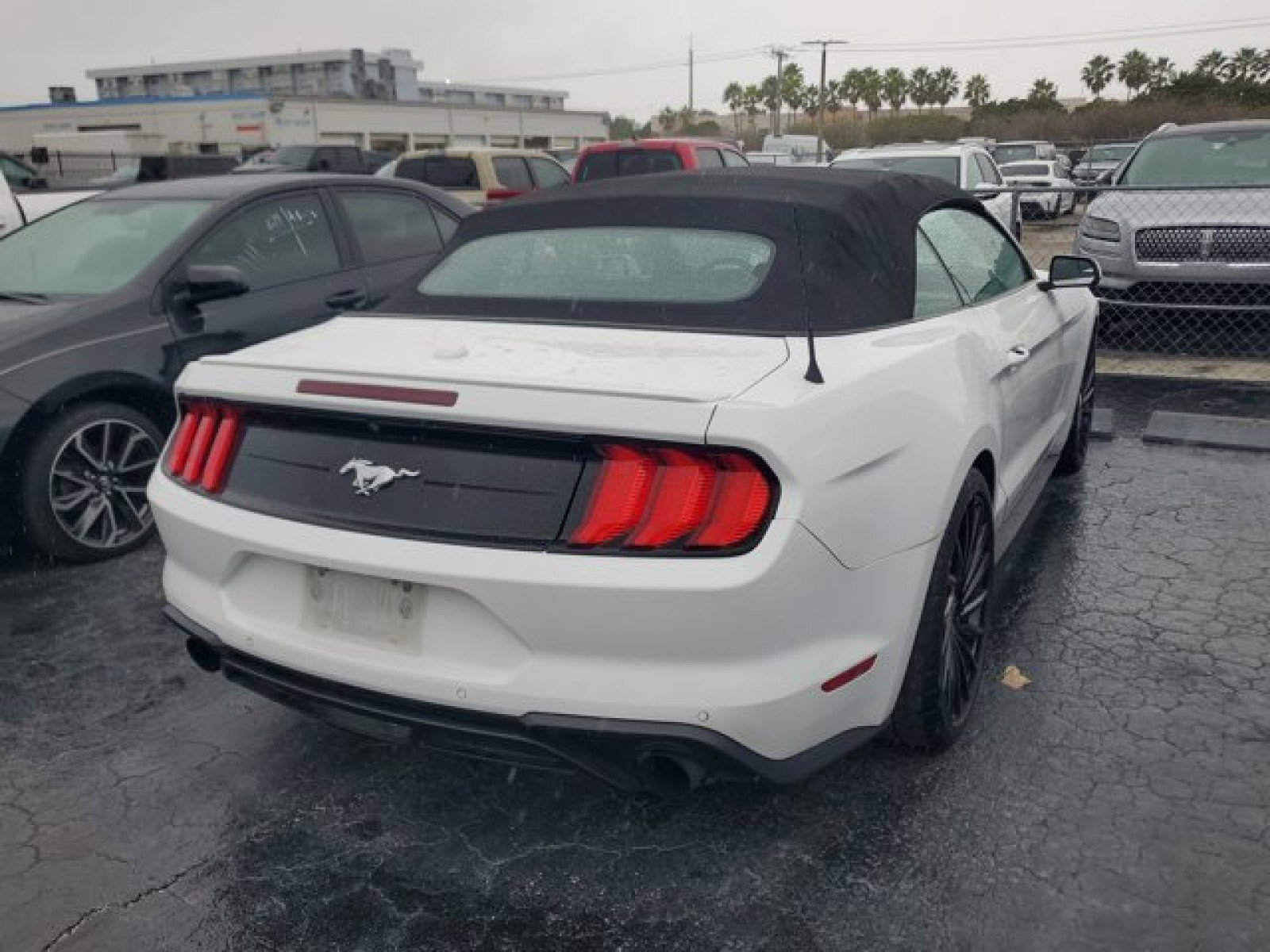Certified 2019 Ford Mustang Premium image 4