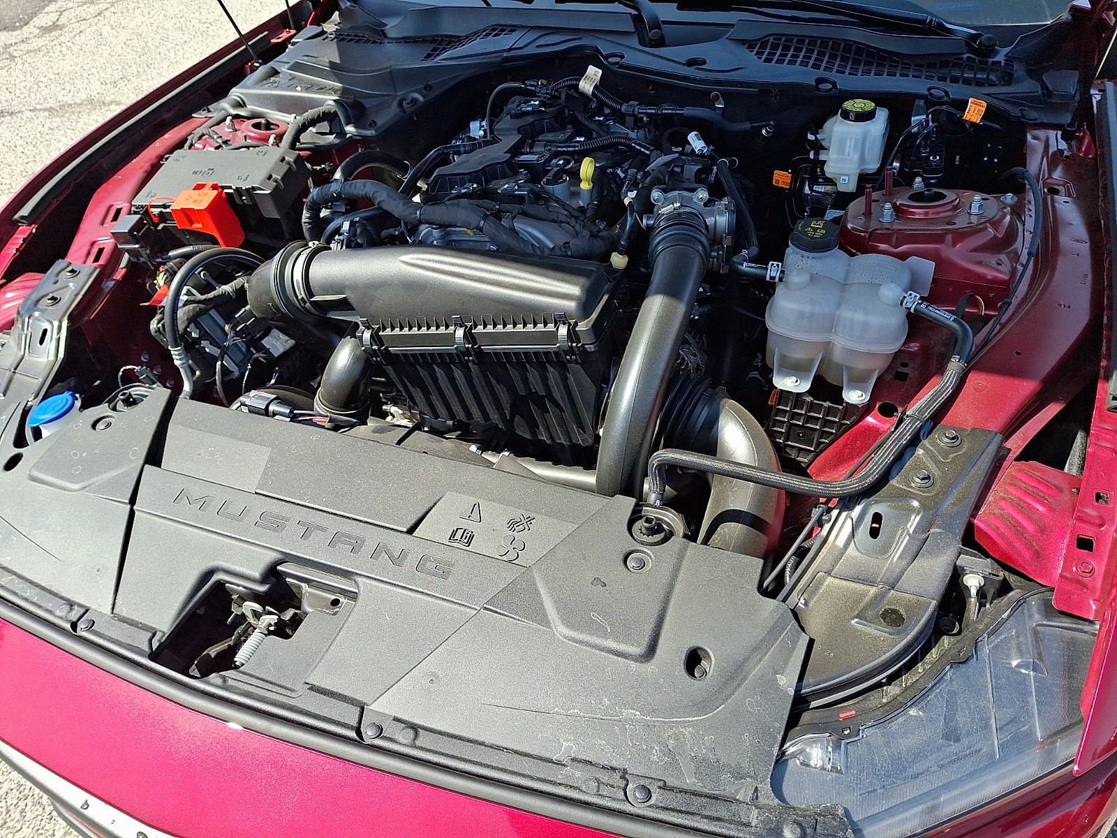 Certified 2025 Ford Mustang Coupe RWD image 31