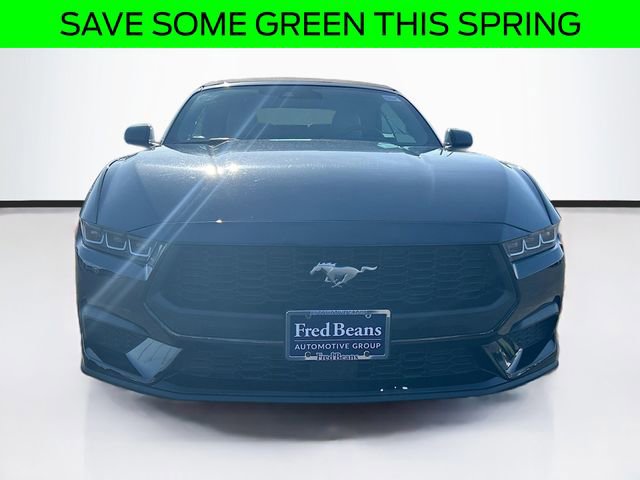 Certified 2024 Ford Mustang Premium RWD image 2