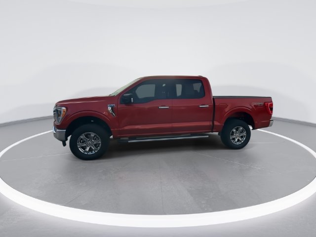 Certified 2023 Ford F150 XLT w/ Equipment Group 302A High AWD/4WD image 3