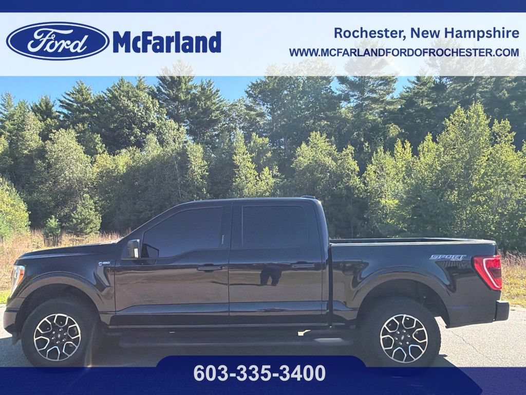 Certified 2023 Ford F150 XLT w/ Equipment Group 302A High AWD/4WD image 1