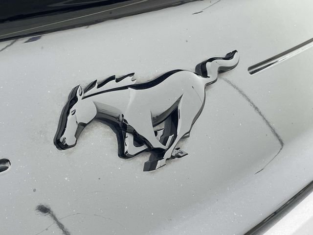 Certified 2023 Ford Mustang Coupe w/ Equipment Group 101A image 9