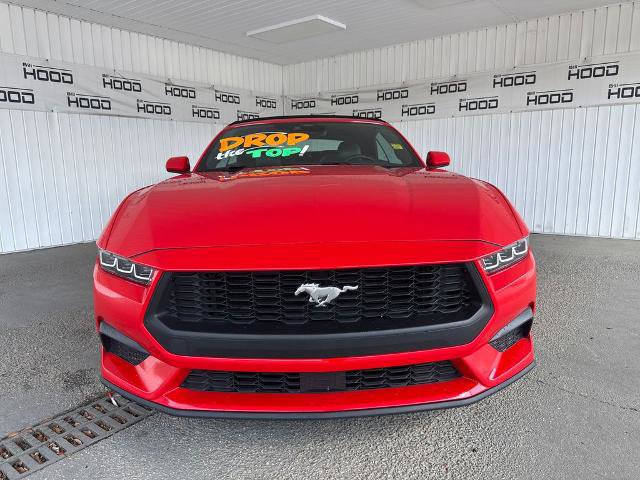 Certified 2025 Ford Mustang Premium RWD image 22