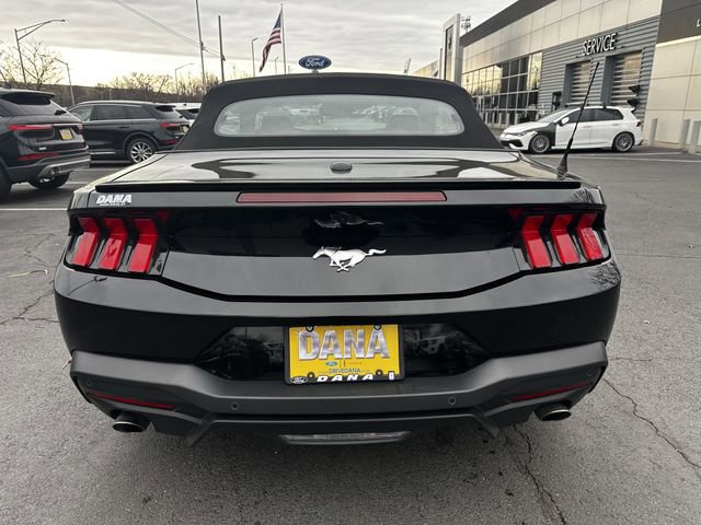 Certified 2025 Ford Mustang Premium image 4