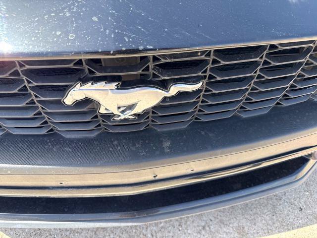 Certified 2024 Ford Mustang Premium RWD image 16