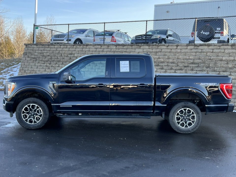 Certified 2023 Ford F150 XLT w/ Equipment Group 302A High image 5