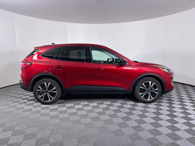 Certified 2022 Ford Escape SE w/ SE Sport Appearance Package image 6