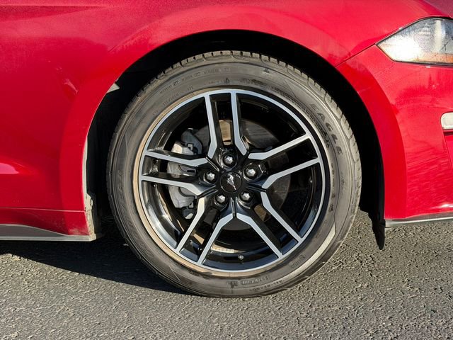 Certified 2019 Ford Mustang Premium image 11