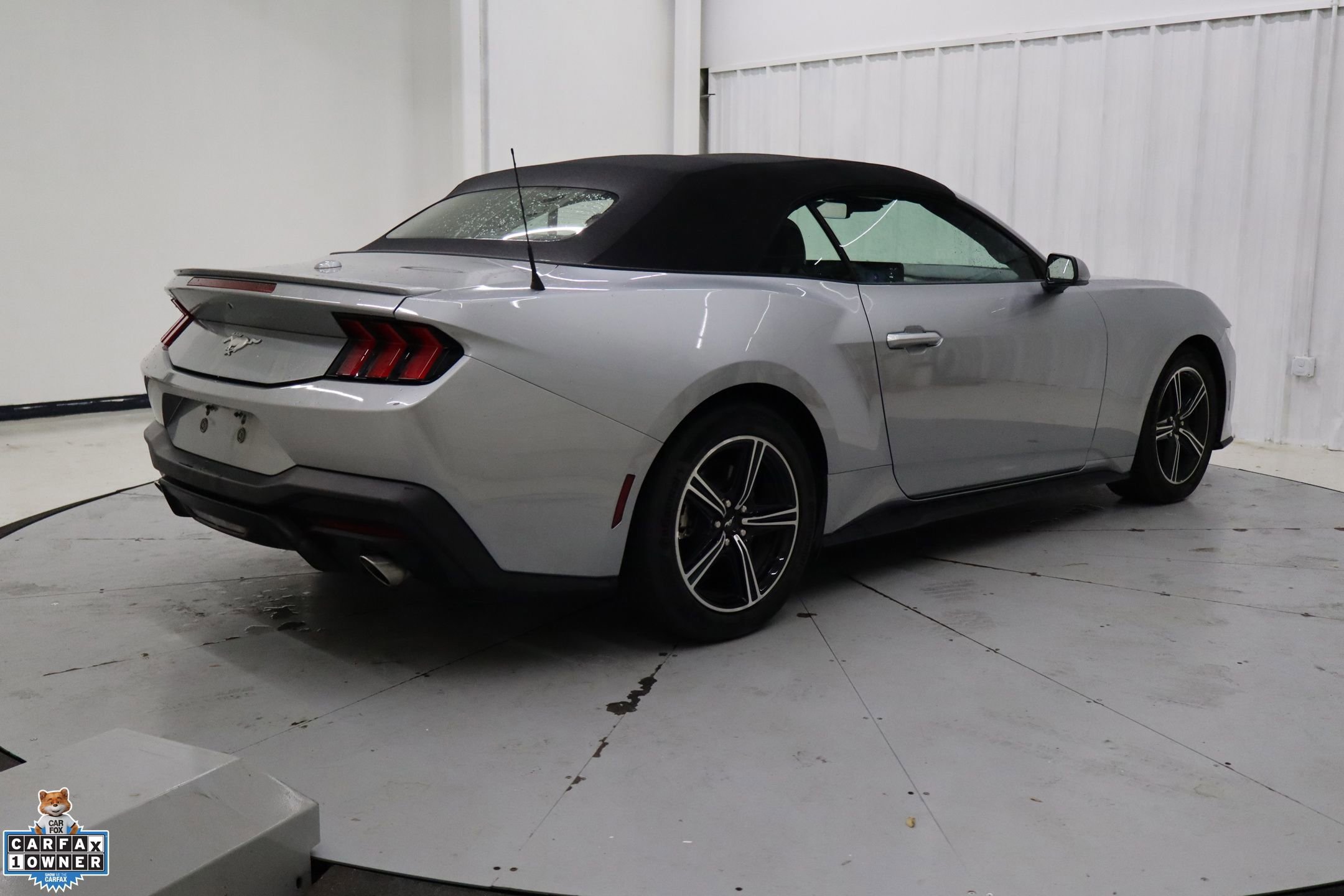 Certified 2024 Ford Mustang Premium image 5