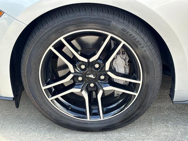 Certified 2019 Ford Mustang GT Premium w/ Equipment Group 401A RWD image 11