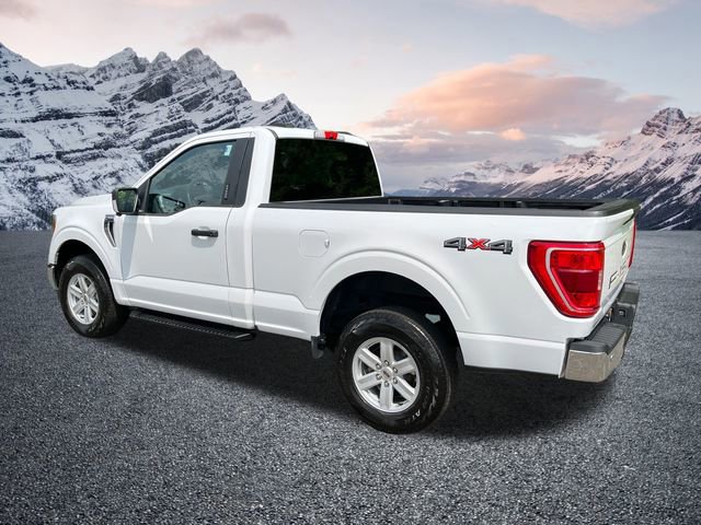 Certified 2023 Ford F150 XLT w/ Equipment Group 301A Mid image 5