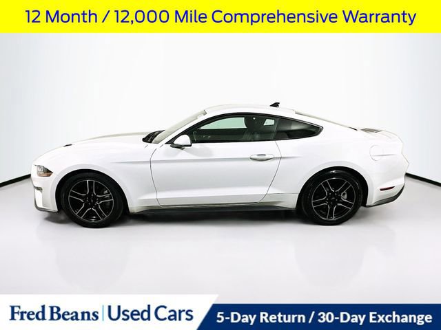 Certified 2023 Ford Mustang Premium image 2