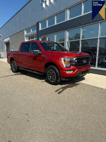 Certified 2023 Ford F150 XLT w/ Equipment Group 302A High image 1