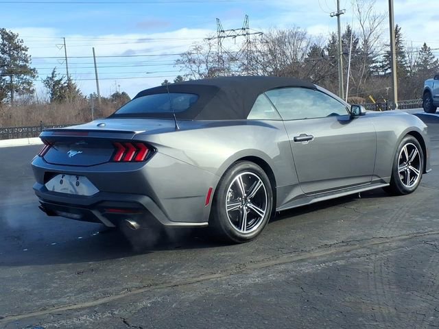 Certified 2025 Ford Mustang Premium image 4
