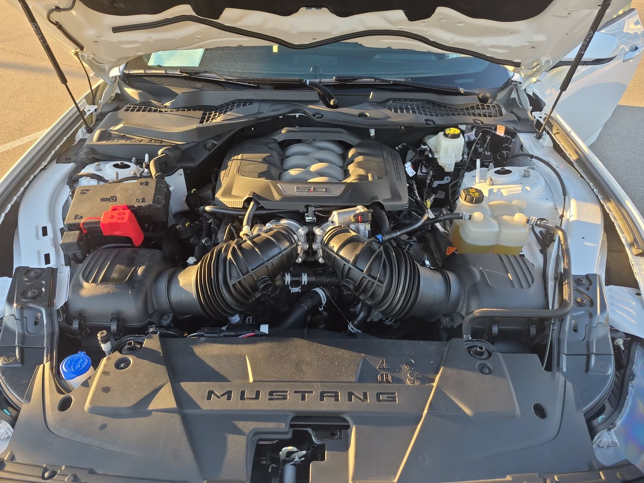Certified 2024 Ford Mustang GT Premium RWD image 36