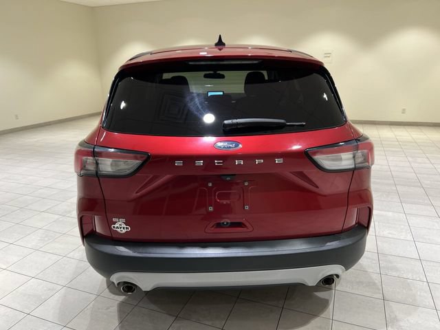 Certified 2022 Ford Escape SE w/ Convenience Package FWD image 4