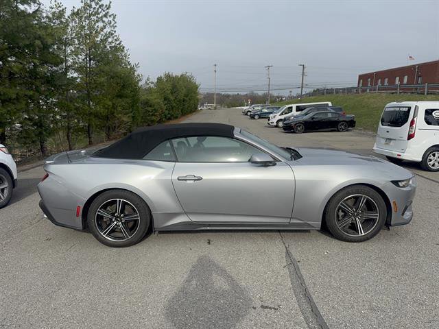 Certified 2024 Ford Mustang Premium image 6