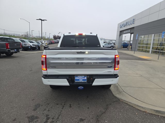 Certified 2023 Ford F150 Limited image 4