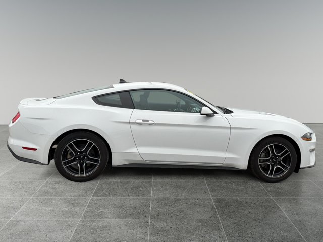 Certified 2021 Ford Mustang Premium w/ Ford Safe & Smart Package RWD image 7