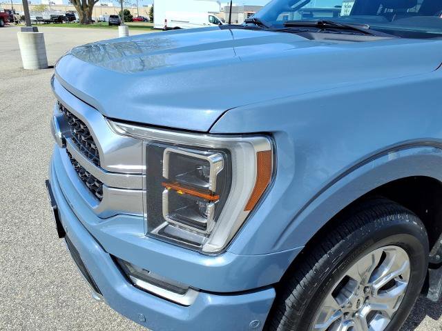 Certified 2023 Ford F150 Platinum w/ Equipment Group 701A High AWD/4WD image 10