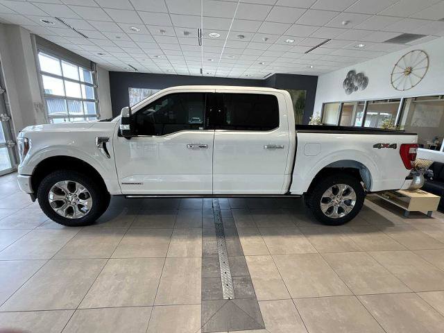 Certified 2023 Ford F150 Platinum AWD/4WD image 6
