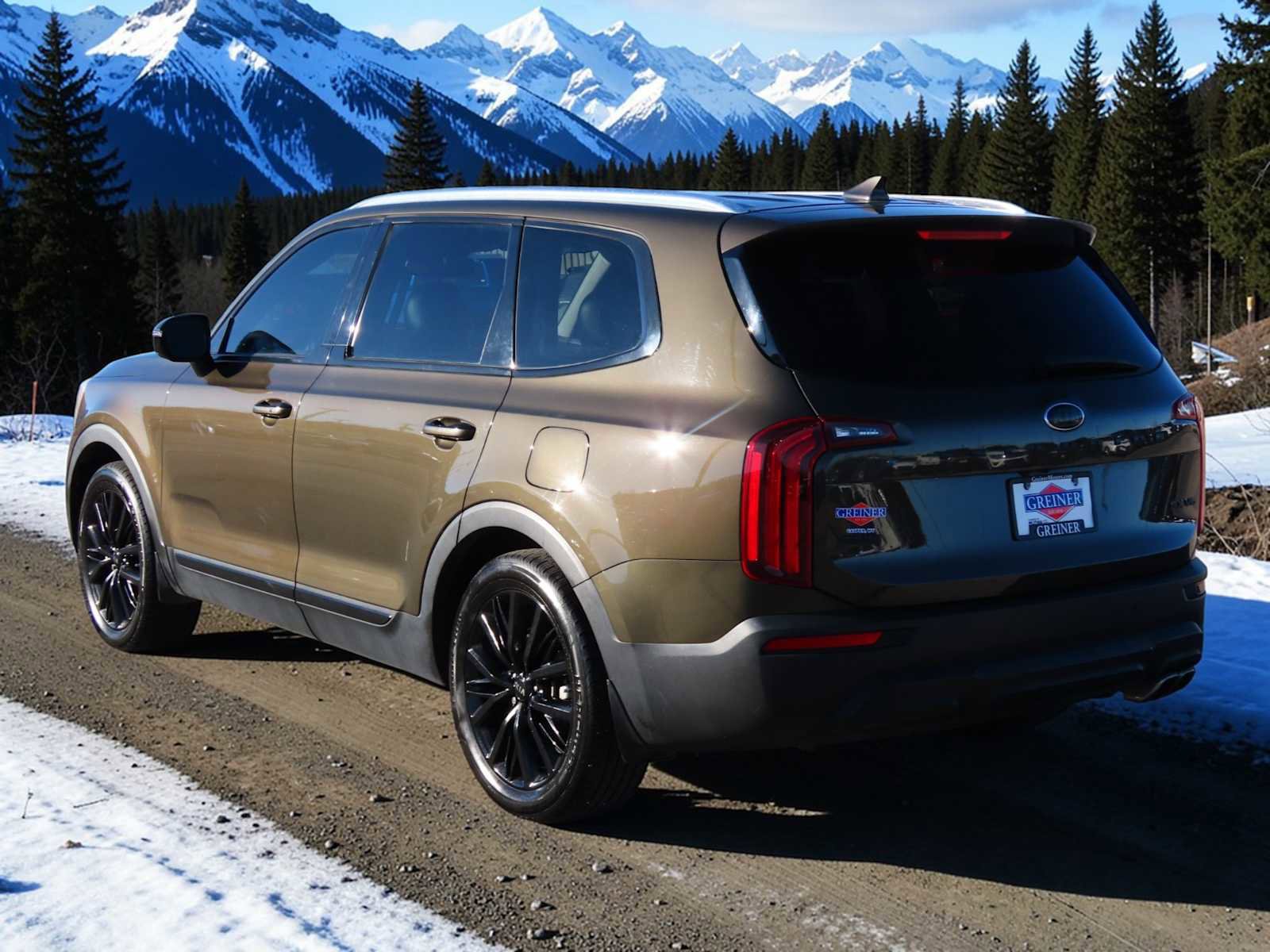 Used 2020 Kia Telluride SX image 4