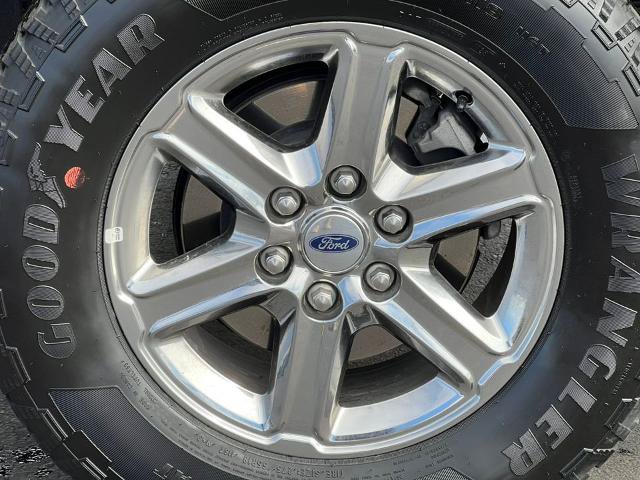 Certified 2025 Ford F150 XLT w/ Equipment Group 301A Standard AWD/4WD image 10