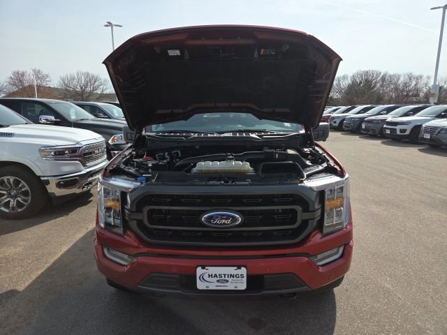 Certified 2023 Ford F150 XLT w/ Equipment Group 302A High image 8