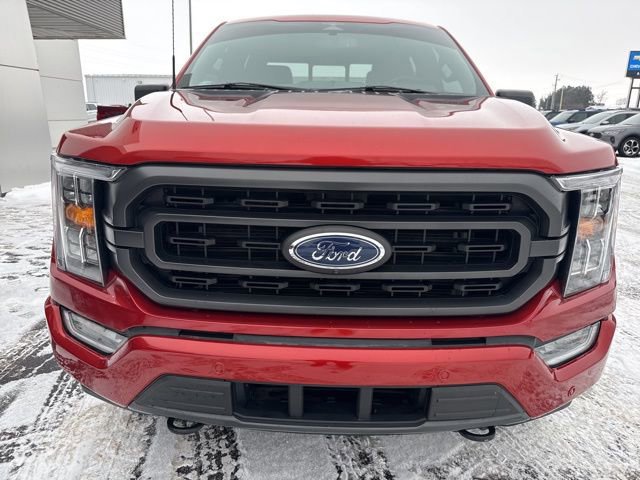 Certified 2023 Ford F150 XLT w/ Equipment Group 302A High image 6