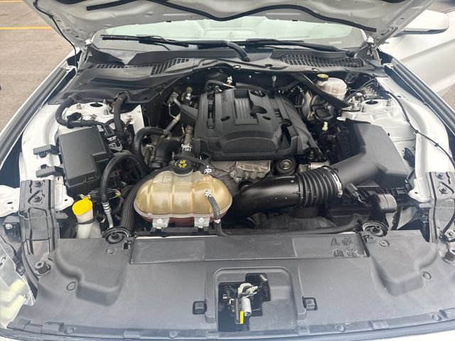 Certified 2018 Ford Mustang Premium RWD image 16