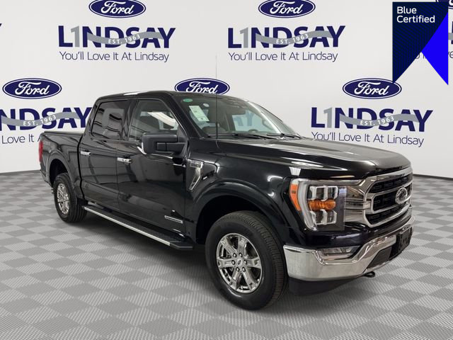 Certified 2023 Ford F150 XLT w/ Equipment Group 302A High