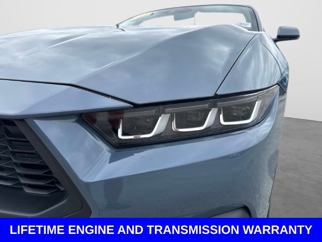 Certified 2024 Ford Mustang Premium RWD image 10