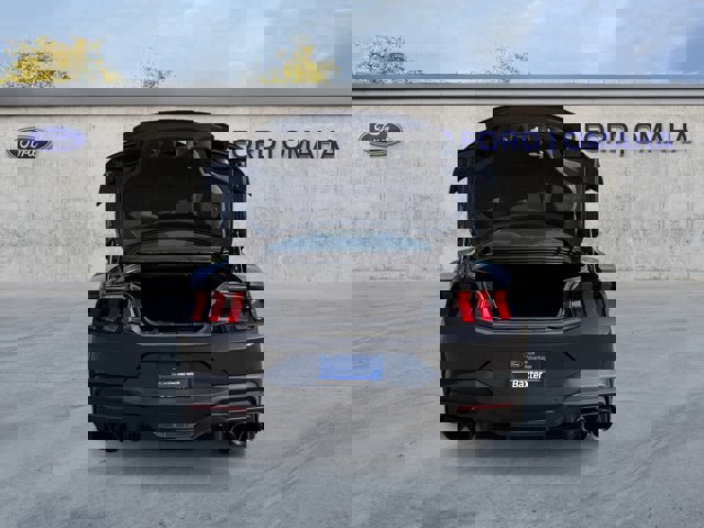 Certified 2024 Ford Mustang Dark Horse image 20