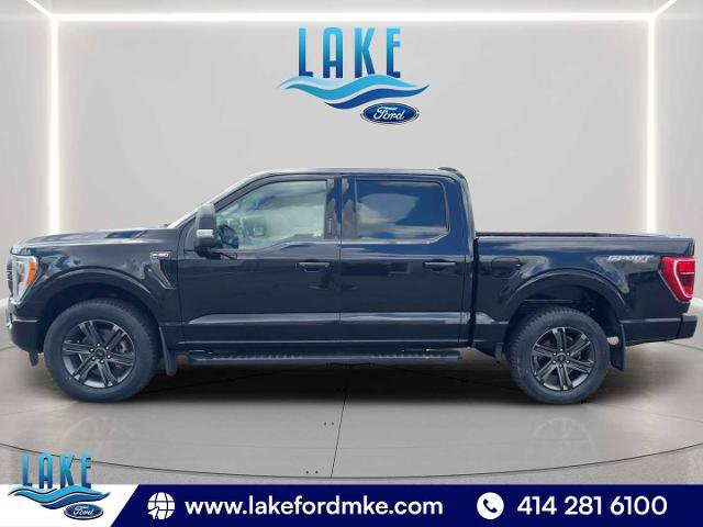 Certified 2023 Ford F150 XLT w/ Equipment Group 302A High AWD/4WD image 5