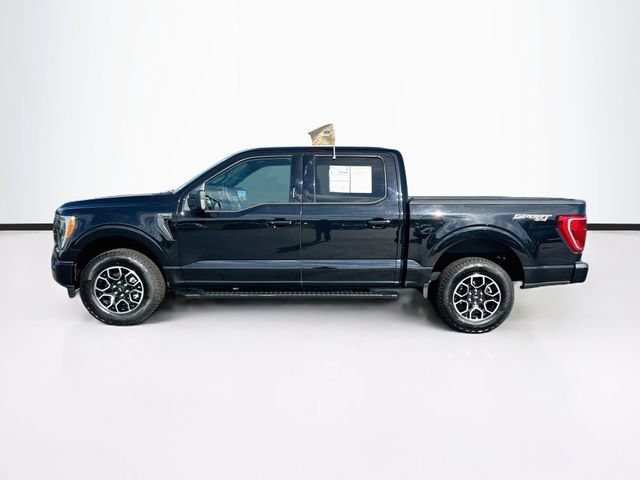 Certified 2023 Ford F150 XLT w/ Equipment Group 302A High AWD/4WD image 5