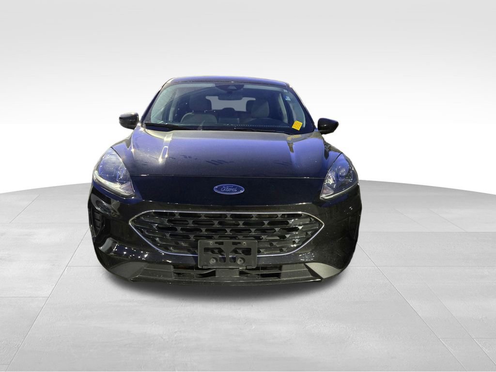 Certified 2022 Ford Escape SE w/ SE Sport Appearance Package image 3