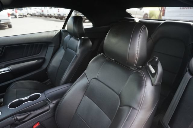 Certified 2019 Ford Mustang Premium RWD image 10