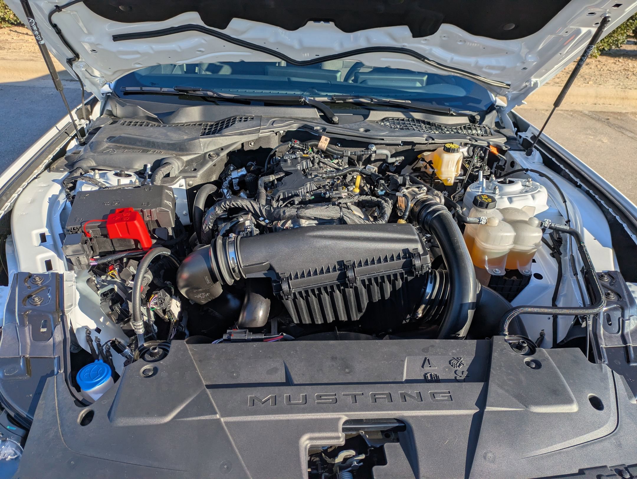 Certified 2025 Ford Mustang Coupe image 35