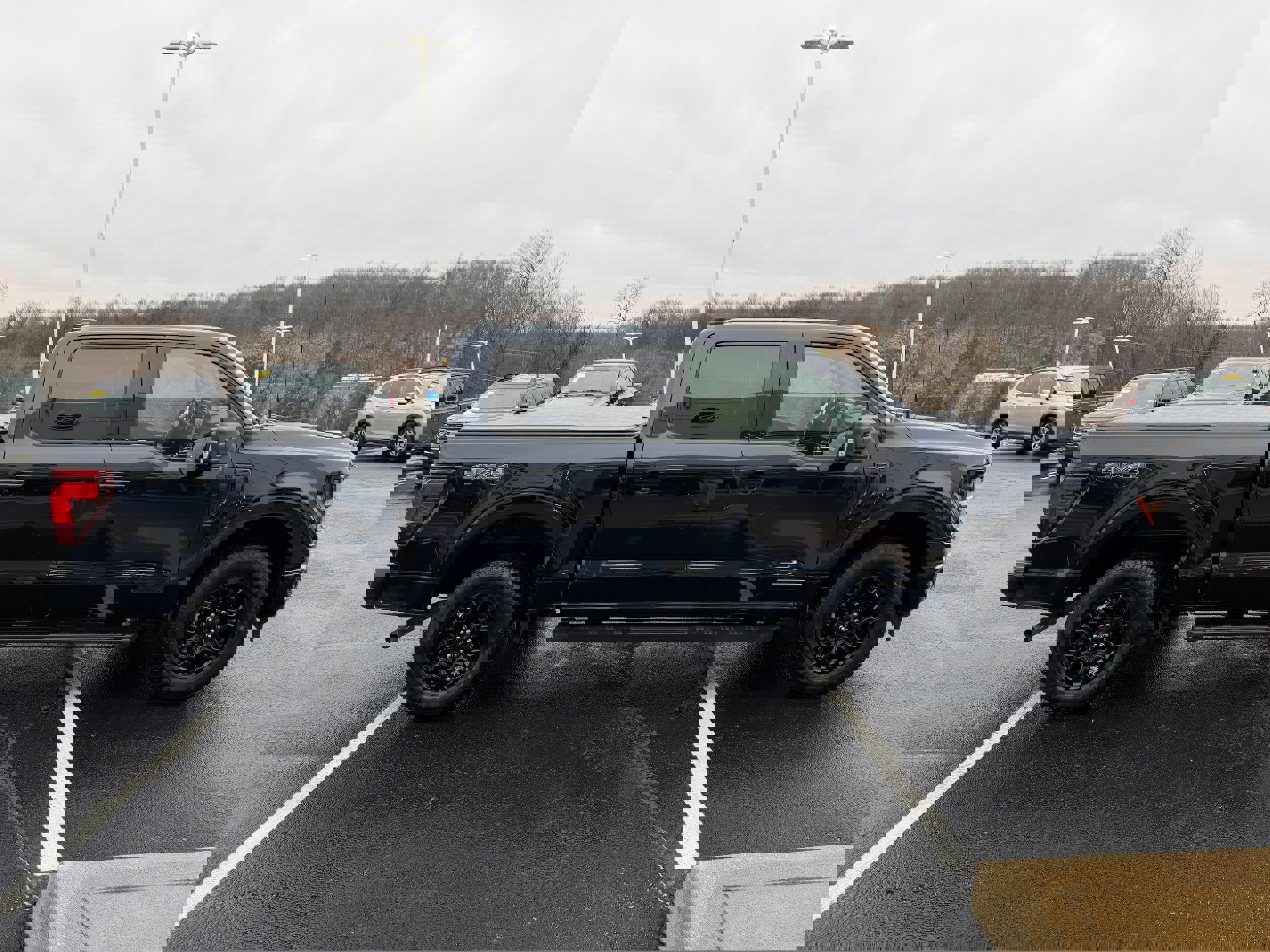 Certified 2025 Ford F150 XLT w/ Equipment Group 302A MID image 5