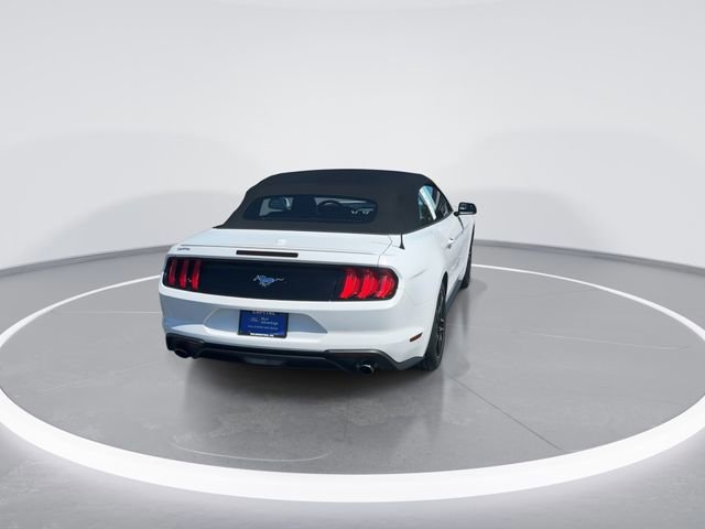 Certified 2023 Ford Mustang Premium image 4
