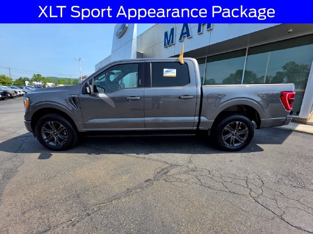 Certified 2023 Ford F150 XLT w/ Equipment Group 302A High AWD/4WD image 4
