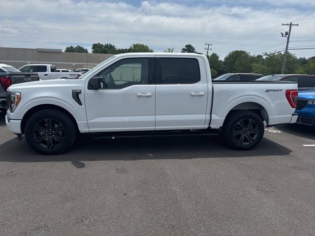 Certified 2023 Ford F150 XLT w/ Equipment Group 302A High RWD image 13