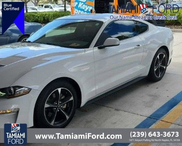 Certified 2019 Ford Mustang EcoBoost w/ Ford Safe & Smart Package image 1