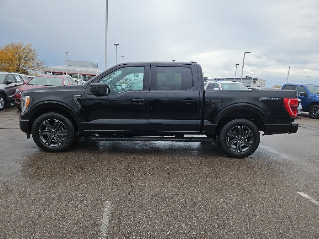 Certified 2023 Ford F150 XLT w/ Equipment Group 302A High RWD image 2