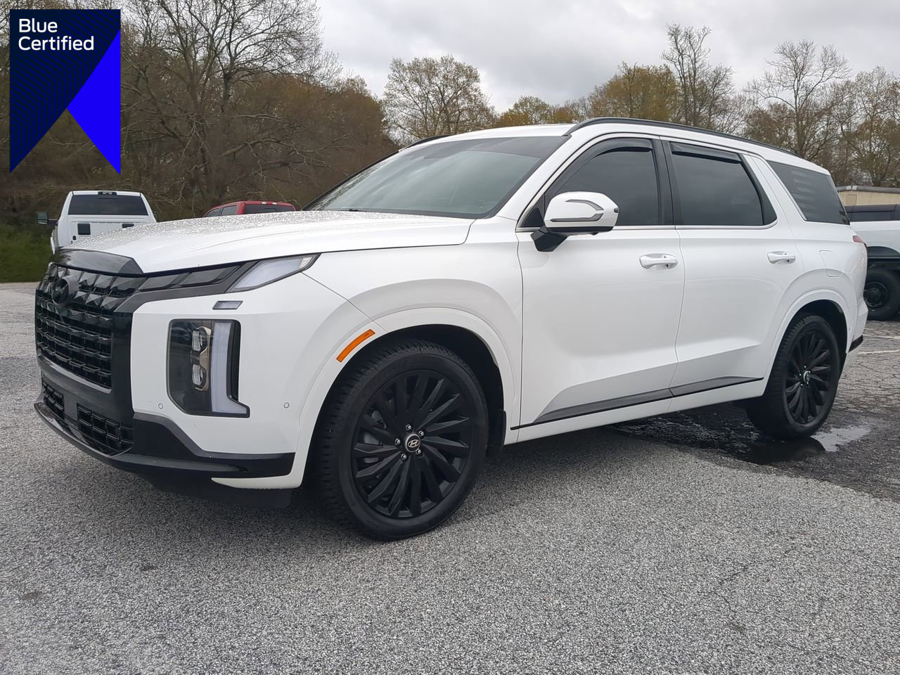 Used 2025 Hyundai Palisade Calligraphy image 1