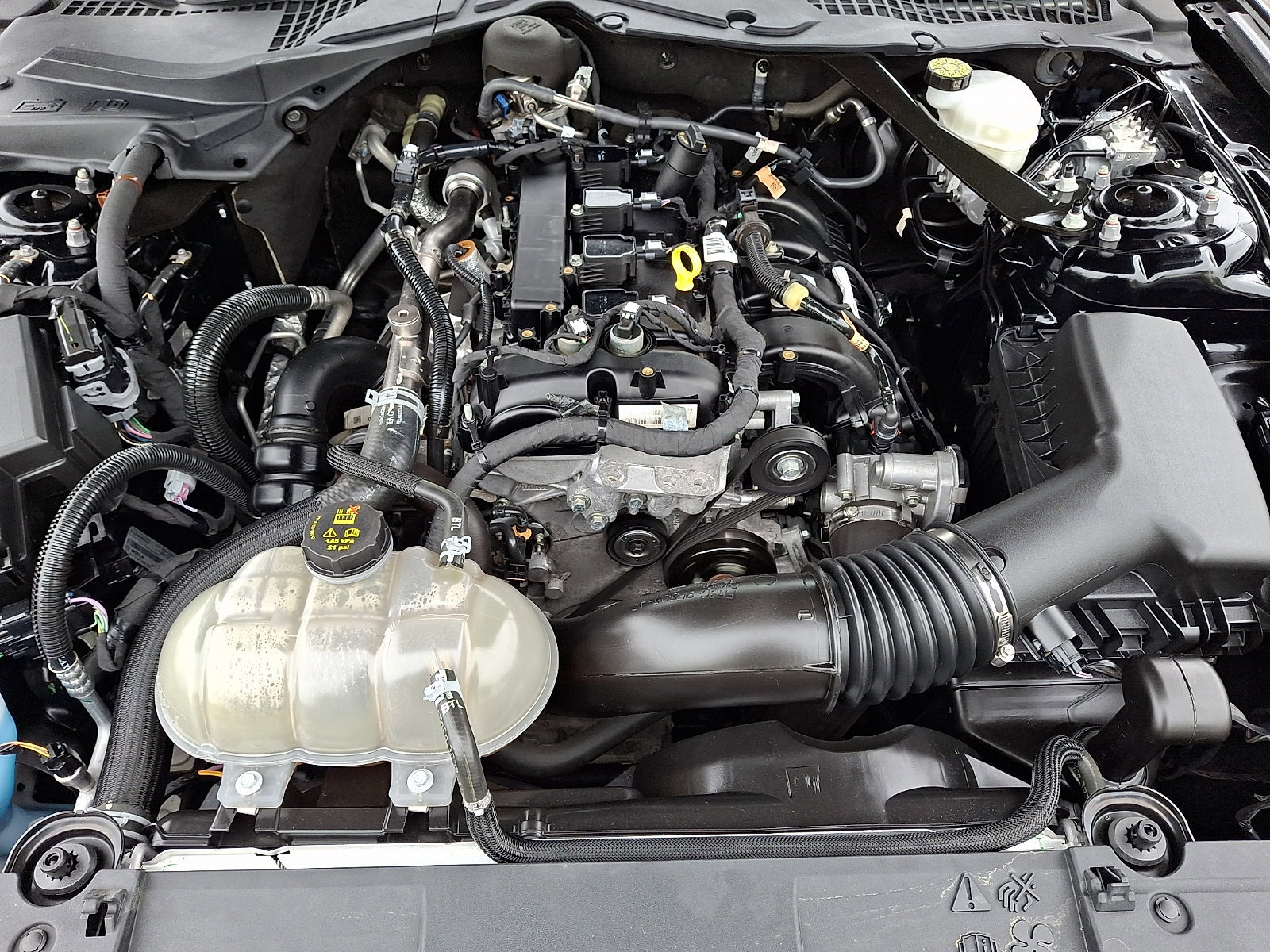 Certified 2023 Ford Mustang Premium RWD image 28